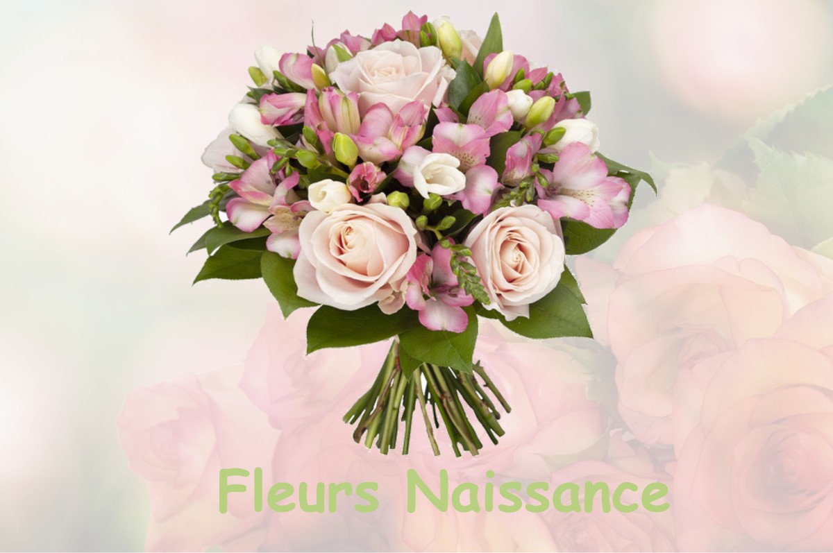 fleurs naissance LORCY